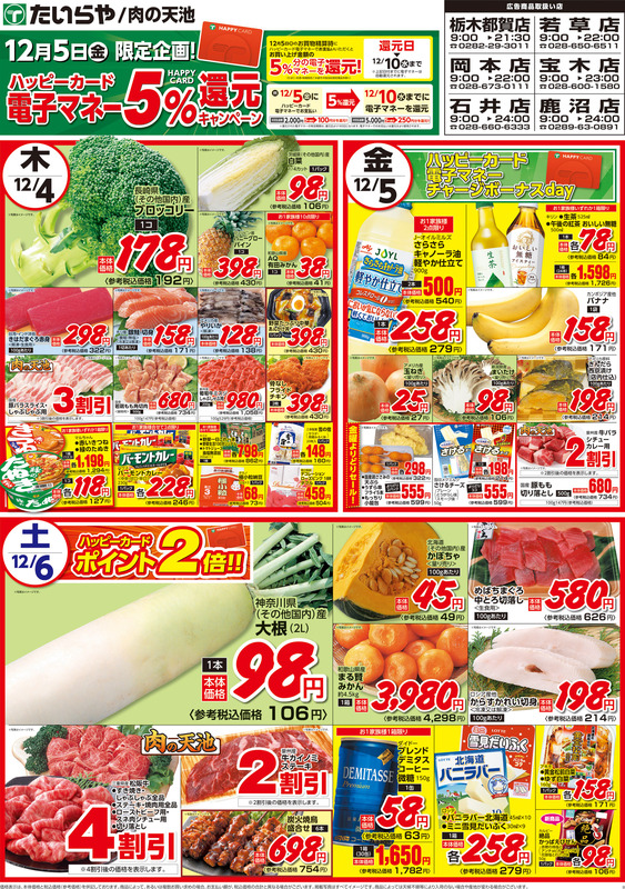 フライヤー バラ売り 電磁フライヤー｜株式会社マルゼン